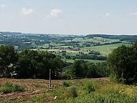 IMG_20230616_114718655
