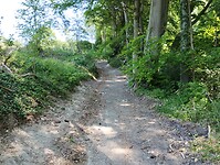 IMG_20230616_114449993