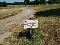 IMG_20230616_111701856