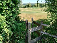 IMG_20230616_110527669_HDR