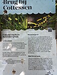 IMG_20230616_105307028
