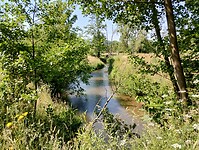 IMG_20230616_104905715_HDR