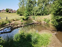 IMG_20230616_104421427