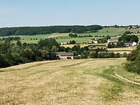 IMG_20230616_103117840
