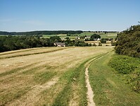 IMG_20230616_102942246