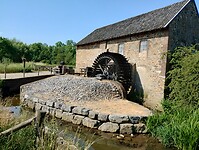 IMG_20230616_102458526_HDR