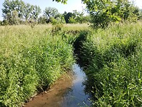 IMG_20230616_102142939