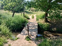 IMG_20230616_102109918_HDR