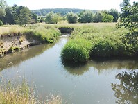 IMG_20230616_102025821