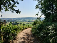 IMG_20230616_095843049_HDR