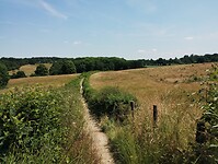 IMG_20230617_134033906