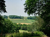 IMG_20230617_131554661_HDR