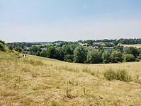 IMG_20230617_124601950
