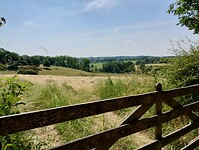 IMG_20230617_122256429_HDR