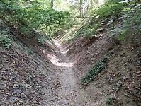 IMG_20230617_111919352
