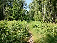 IMG_20230617_110450550_HDR