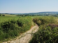 IMG_20230617_105818545