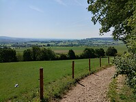 IMG_20230617_103722078_HDR