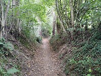 IMG_20230618_122556432