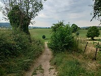 IMG_20230618_120631851_HDR