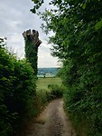 IMG_20230618_120603517_HDR