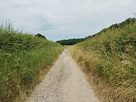 IMG_20230618_113627063
