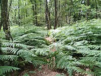 IMG_20230618_111637282