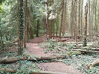 IMG_20230618_111316652