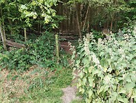 IMG_20230618_111235450