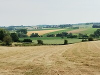 IMG_20230618_110818682
