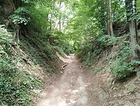 IMG_20230618_110401705