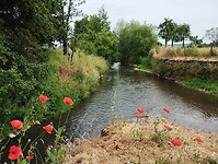 IMG_20230618_104736713