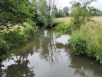 IMG_20230618_103958747