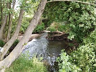 IMG_20230618_102346856
