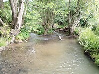 IMG_20230618_102243760