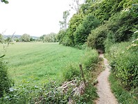 IMG_20230618_101259609