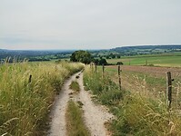 IMG_20230618_093935263