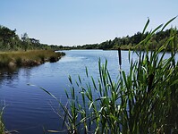 IMG_20230707_151852775
