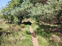 IMG_20230707_145614883