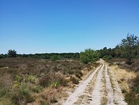 IMG_20230707_140215906