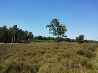 IMG_20230707_121118868
