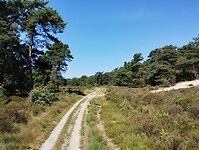 IMG_20230707_115209048
