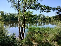 IMG_20230707_113009892_HDR
