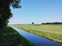 IMG_20230708_134345192