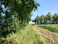 IMG_20230708_132828640_HDR