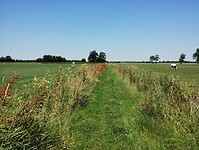 IMG_20230708_131332201