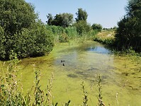 IMG_20230708_110950842
