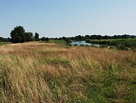 IMG_20230708_110723023
