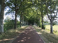 IMG_20230708_101818350