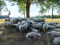 IMG_20230708_100141531_HDR